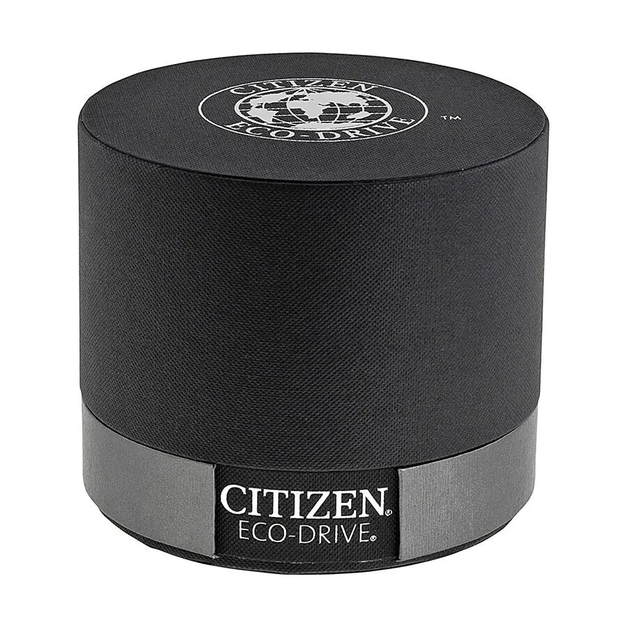 Citizen Promaster Diver 300 Meters Eco-Drive Black Dial Black Rubber Men's Watch BN0085-01E
