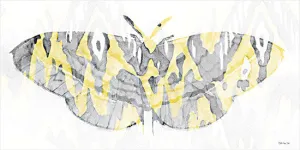 SDS847 - Yellow-Gray Patterned Moth 1 - 18x9